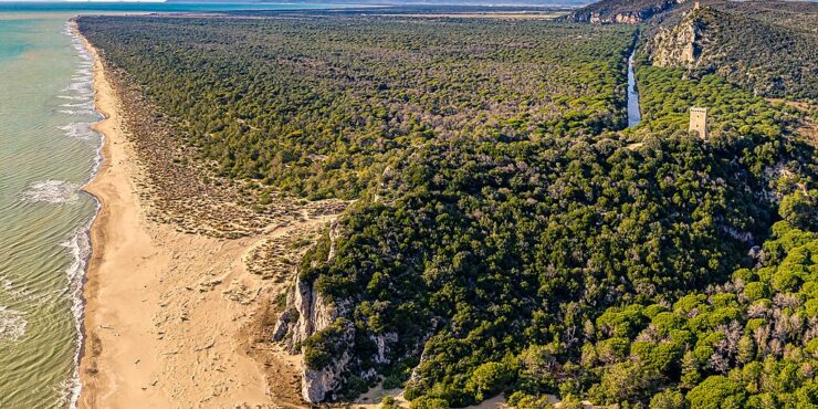Parchi e oasi naturali della Maremma: parco della Maremma, Diaccia Botrona e oasi di Burano